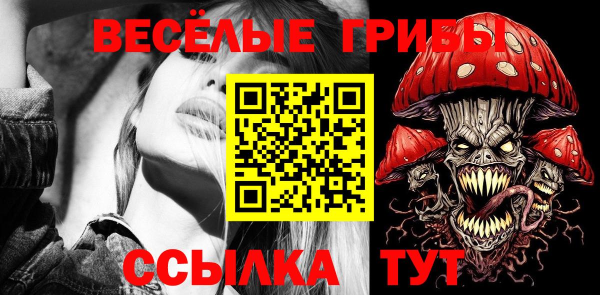 Солнечногорск  Псилоцибиновые грибы MAGIC MUSHROOMS  наркошоп  Вход с VPN  Псилоцибиновые грибы прущие грибы 