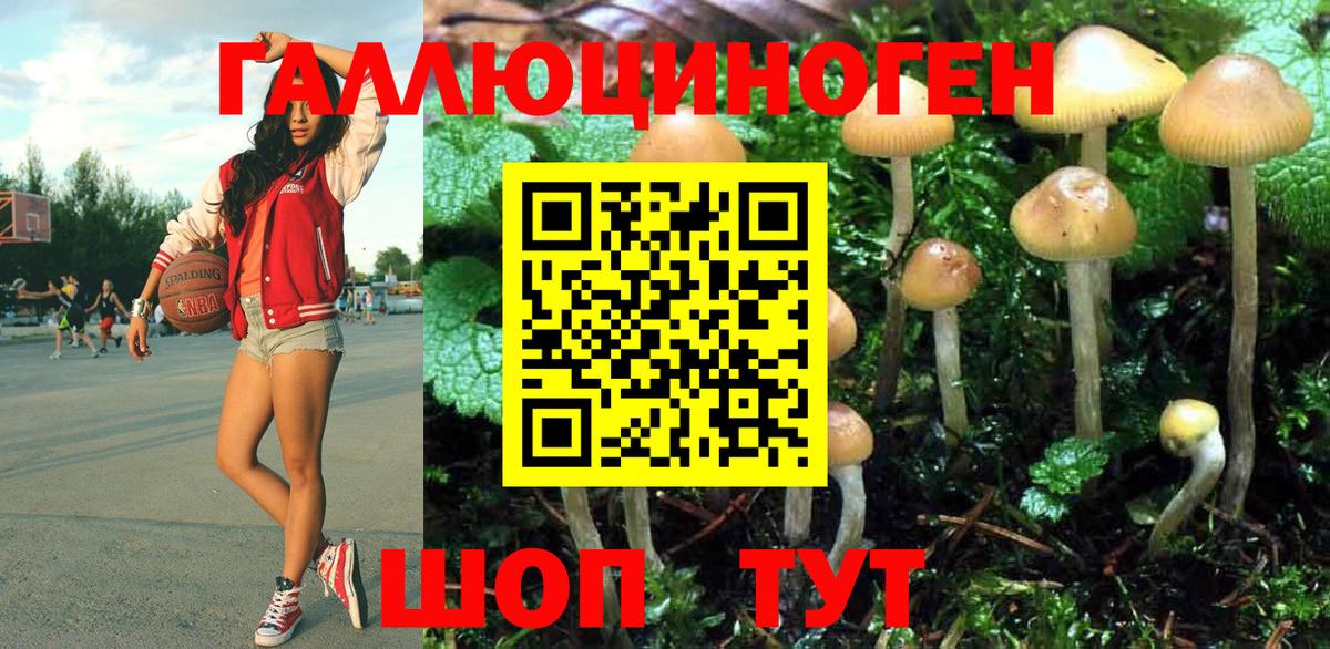 Галлюциногенные грибы MAGIC MUSHROOMS Солнечногорск